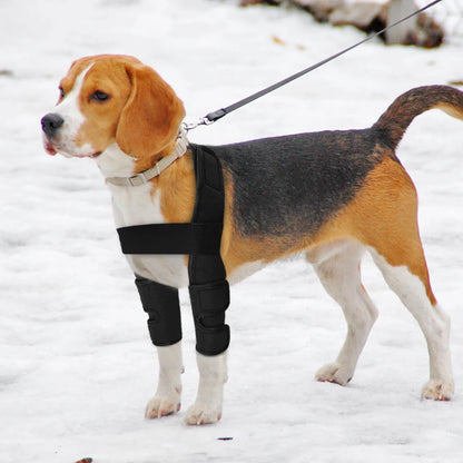 Dogs Recovery Sleeve Protects Wounds