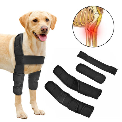 Dogs Recovery Sleeve Protects Wounds