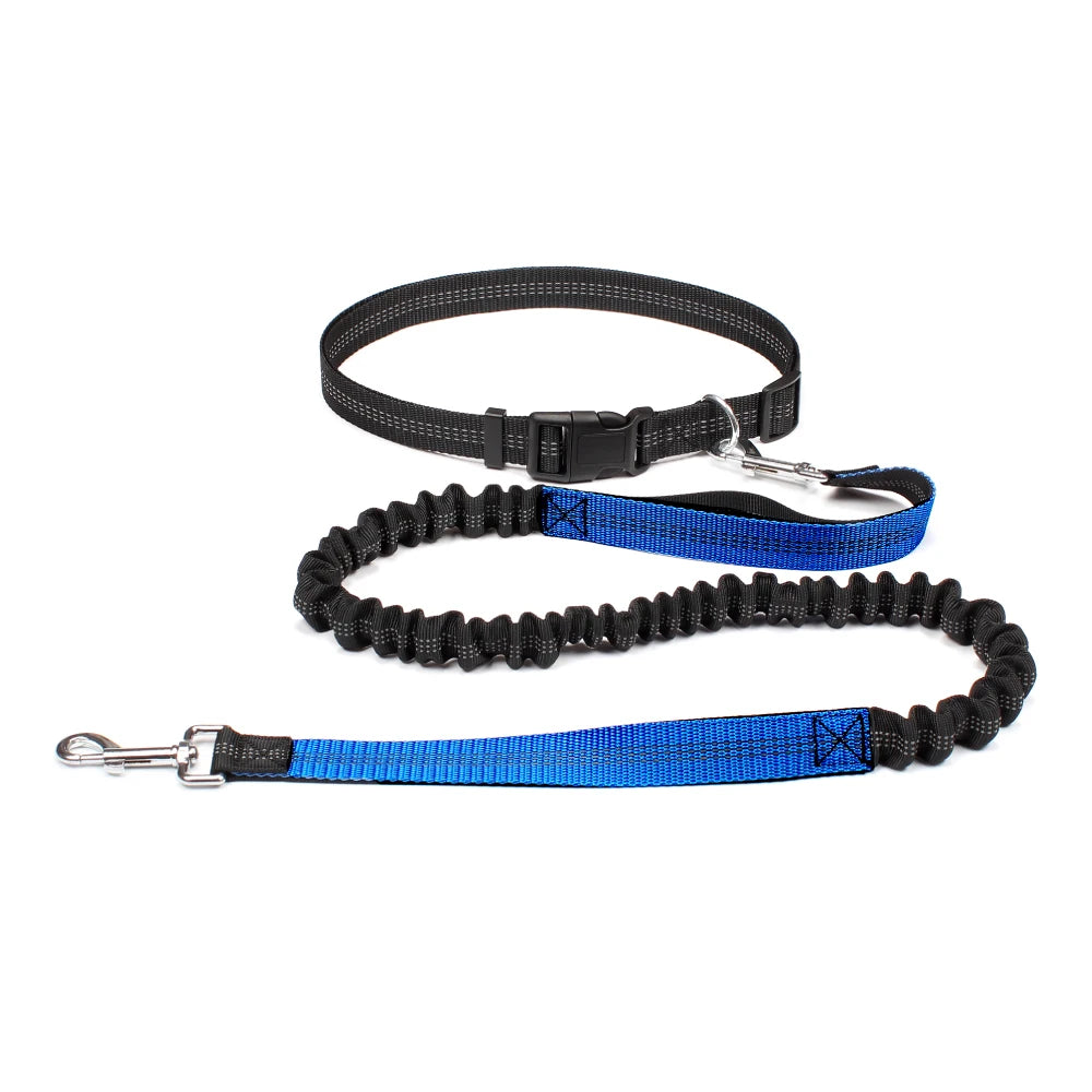 Adjustable Waist Belt Elastic Reflective leash Pet Supplies