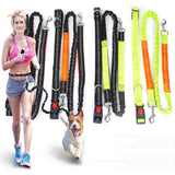 Adjustable Waist Belt Elastic Reflective leash Pet Supplies