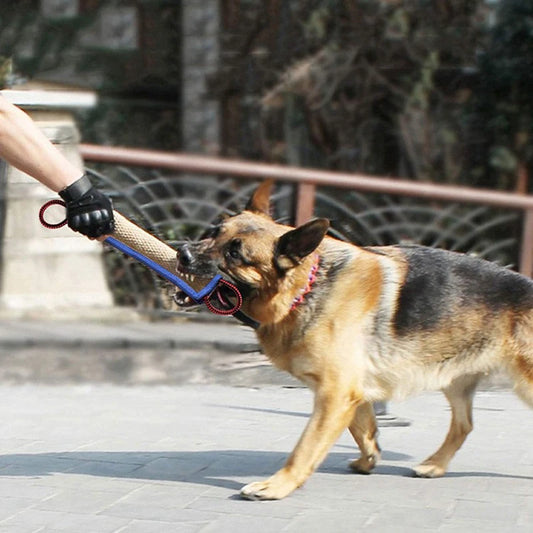 Training dogs chew pillows