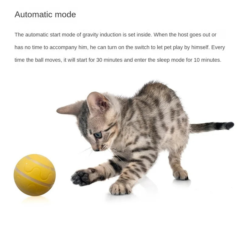 SMART interactive pet ball remote control flashing rolling jumping rotating toy ball for aggressive chewers