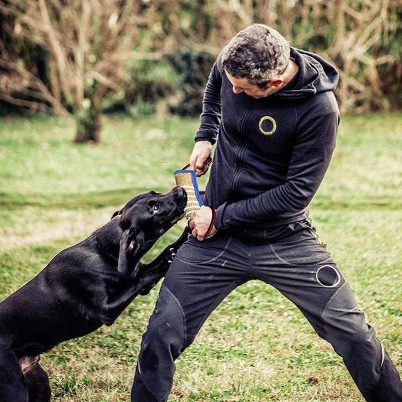 Training dogs chew pillows