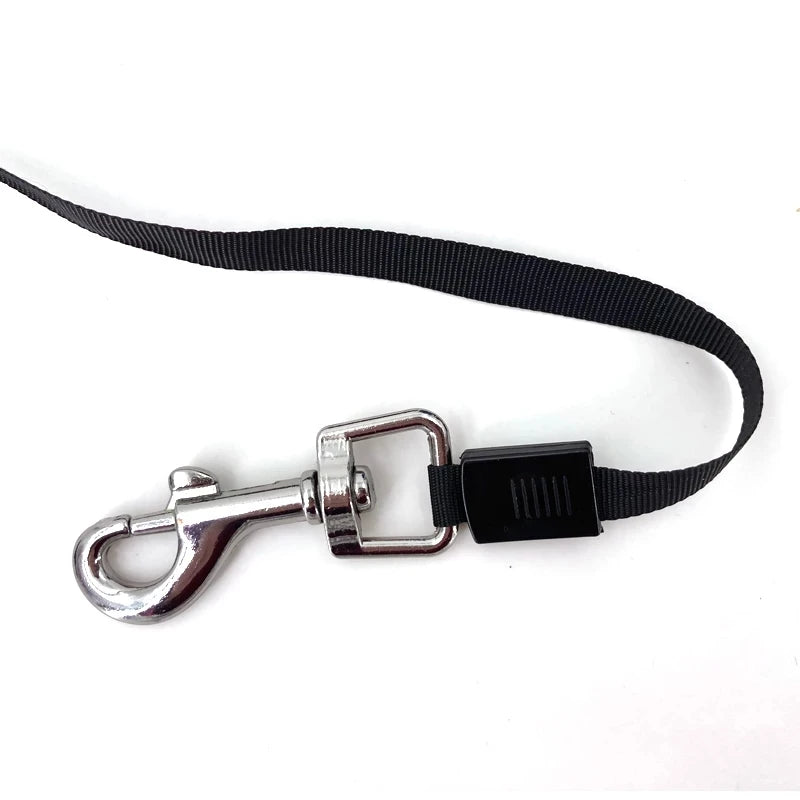 Automatic Flexible Leash For Small Medium Large Dog