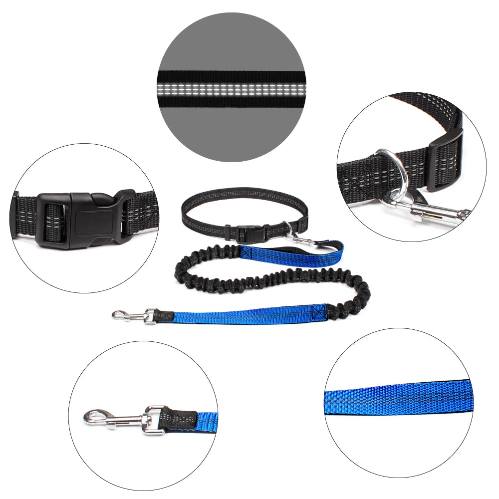 Adjustable Waist Belt Elastic Reflective leash Pet Supplies