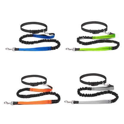 Adjustable Waist Belt Elastic Reflective leash Pet Supplies