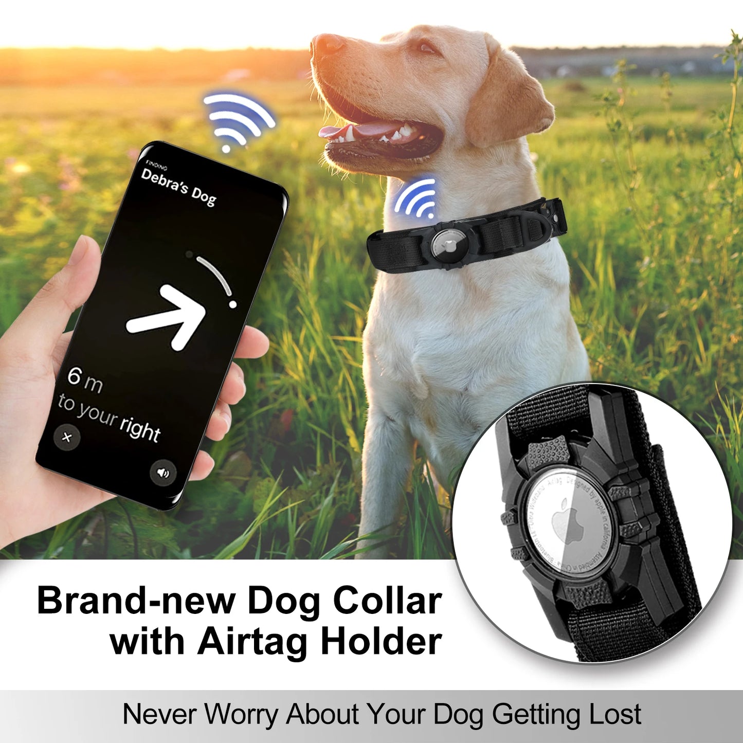 Air Tag Dog Collar with Handle, Metal Buckle for Medium Large Dogs