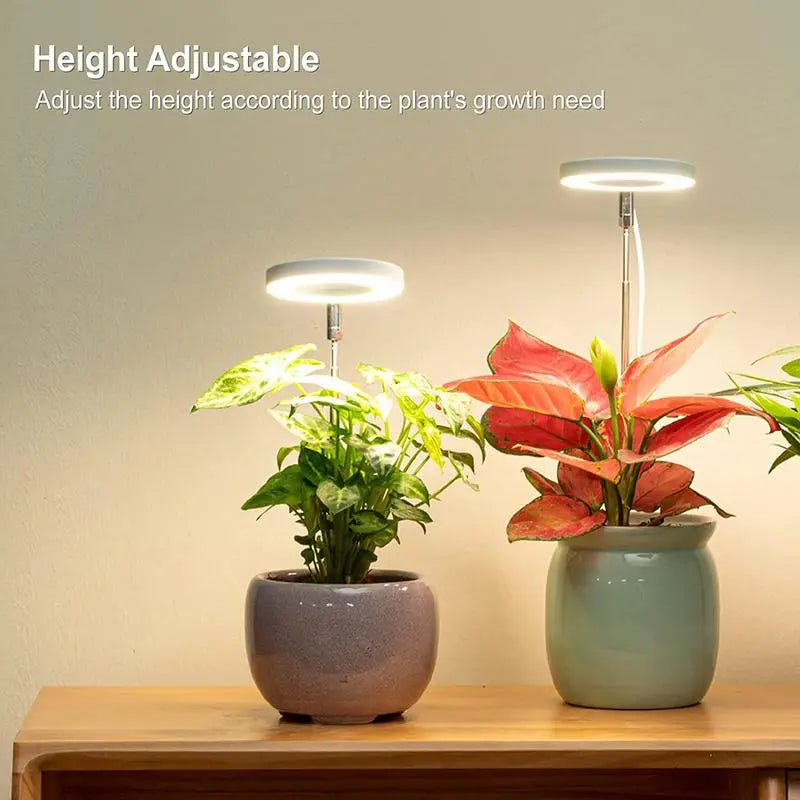 Plants Growth Lighting For Indoor Plant