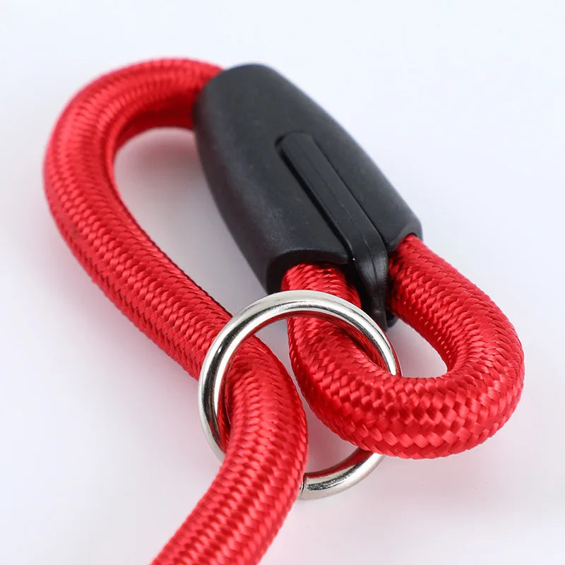 Explosion-proof P Chain Leash Outdoor Dog Walking Rope Nylon Braided Dog Leash