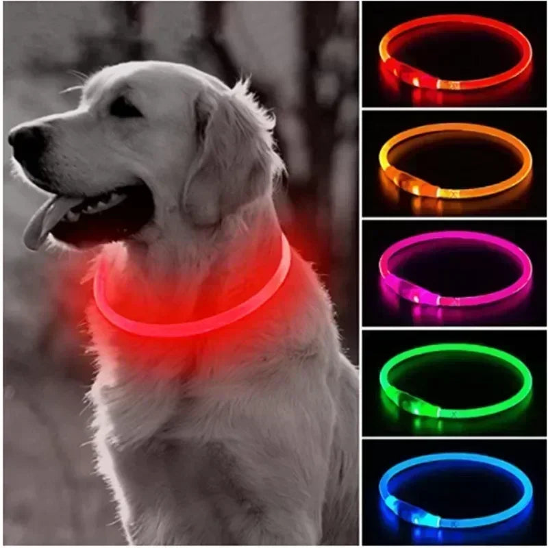 Led Dog Collar Luminous USB Cat Dog Collar 3 Modes Led Light Glowing