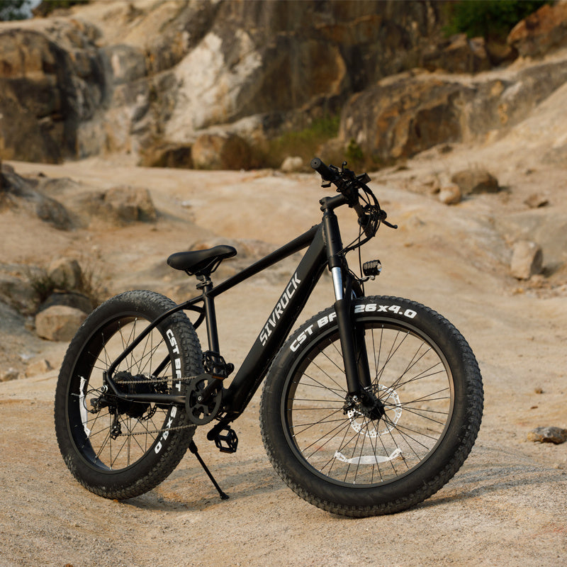 Professional Electric Bike For Adults, 26 X 4.0 Inches Fat Tire Electric Mountain Bicycle